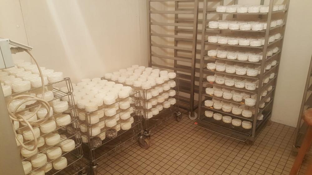 Fromages contenu 1